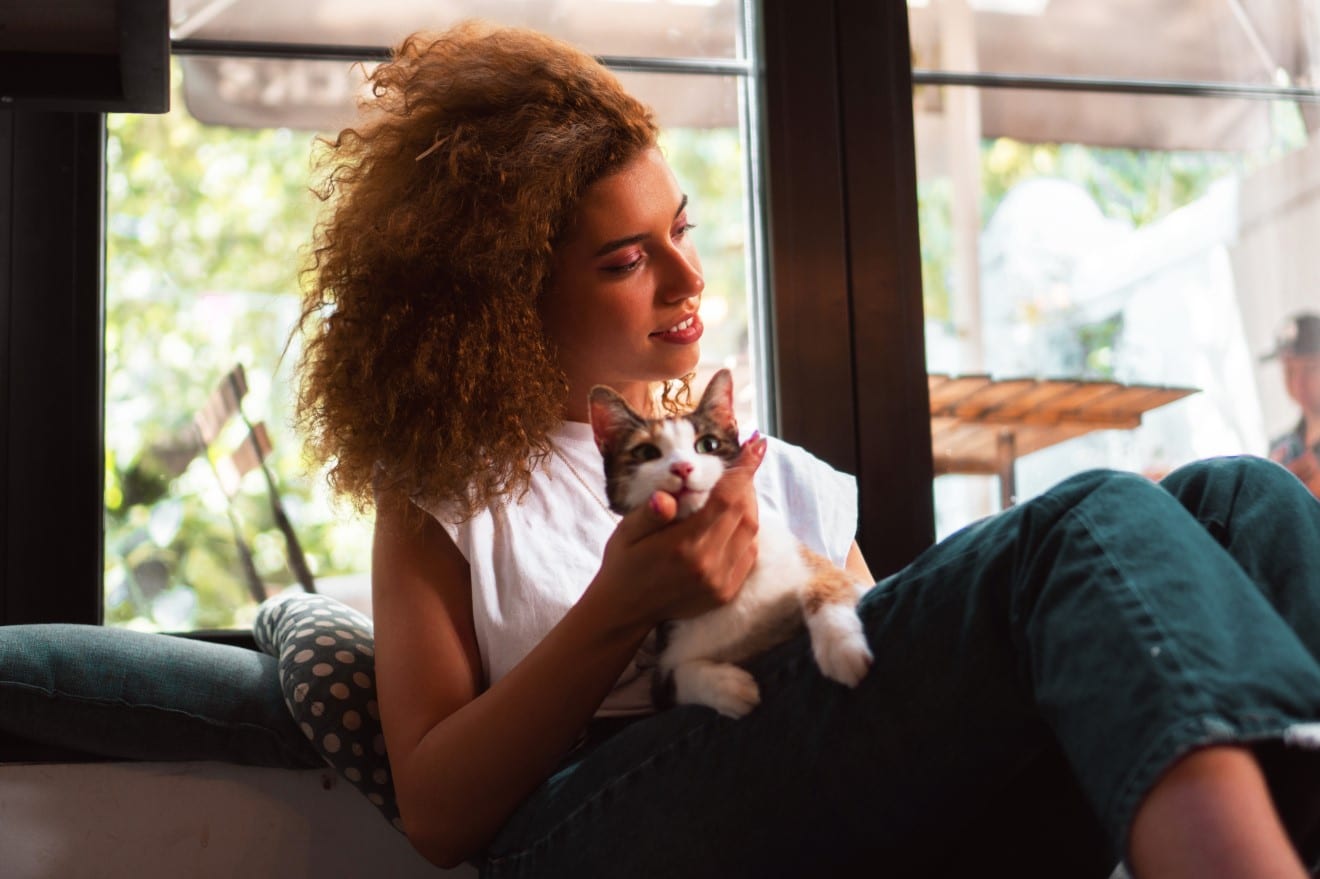 Do They Really Allow Cats in Rehab? Swift River