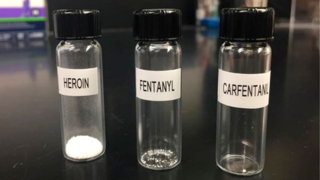 Comparison between lethal amounts of heroin, fentanyl, and carfentanil