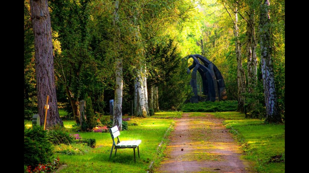 Serene shot of a park bench. Learn how to tell someone they need rehab on our latest blog post.